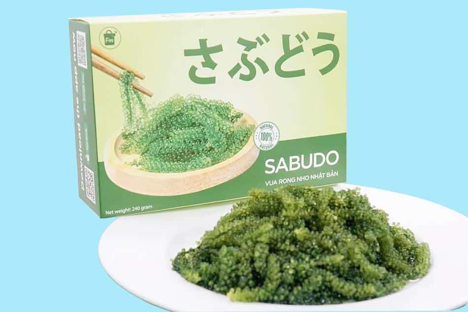 Rong nho Sabudo