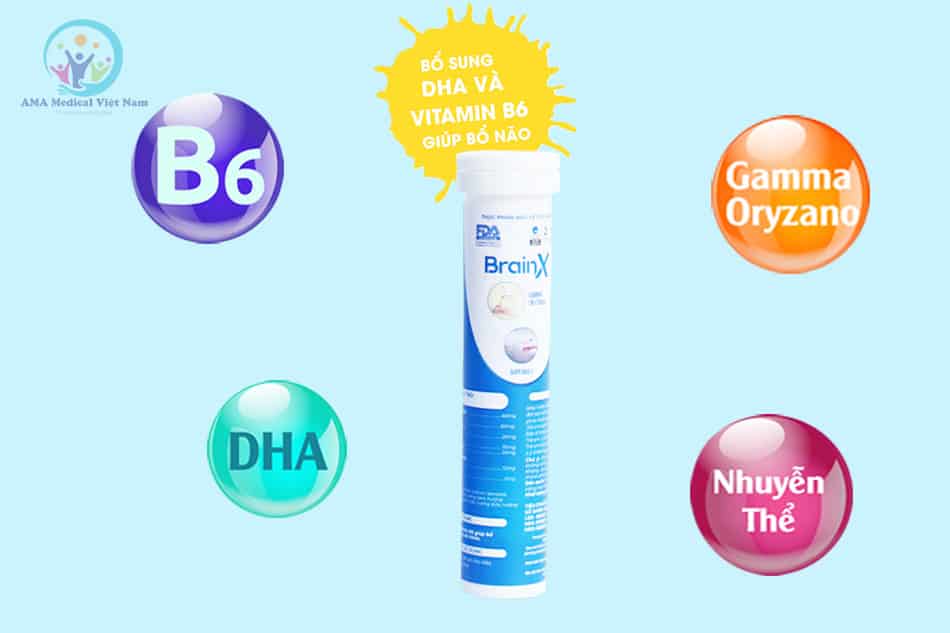 Thành phần của Brain X