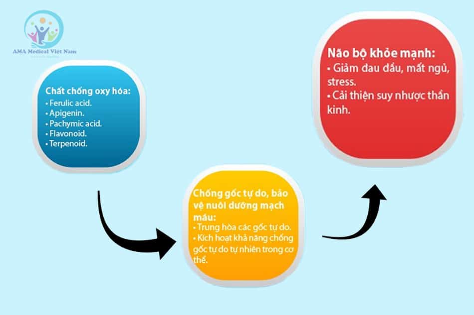 Cơ chế chống oxy hóa của sản phẩm
