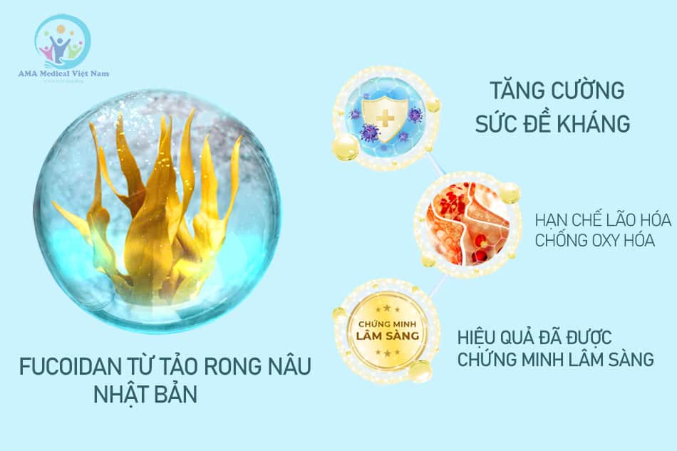 Công dụng của sản phẩm