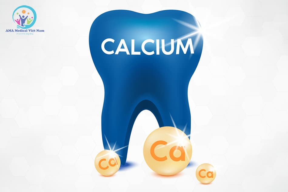 Calcium quan trọng trong hình thành răng và xương
