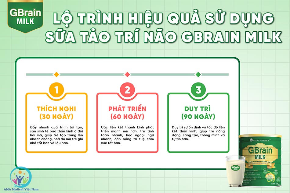 Lộ trình hiệu quả của Sữa tảo trí não GBrain Milk